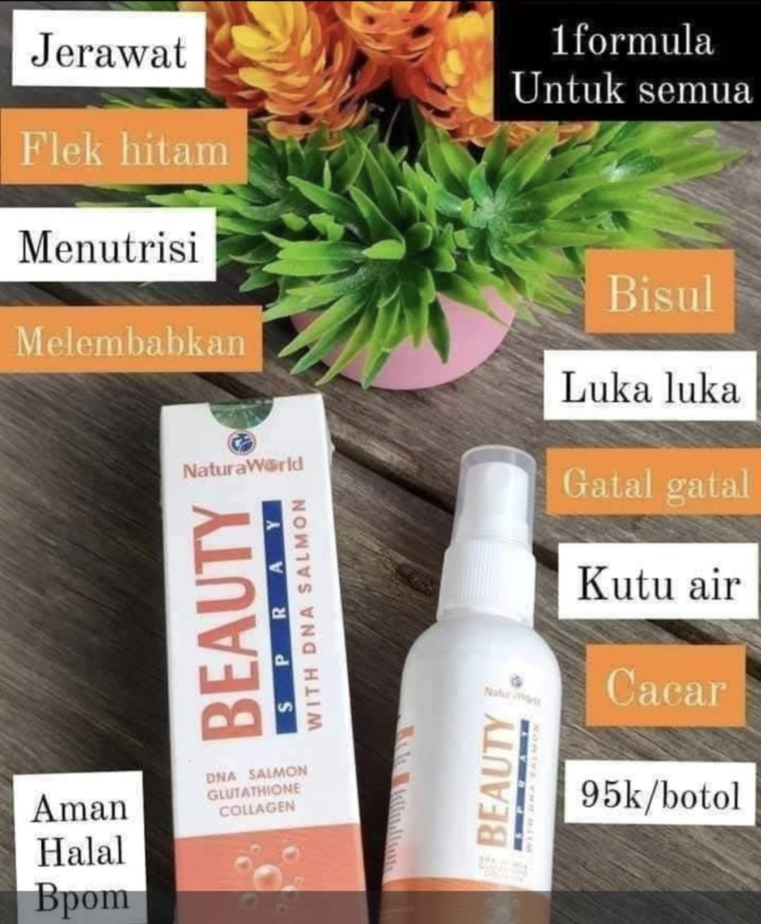 Natura Wold BEAUTY SPRAY - DNA SALMON